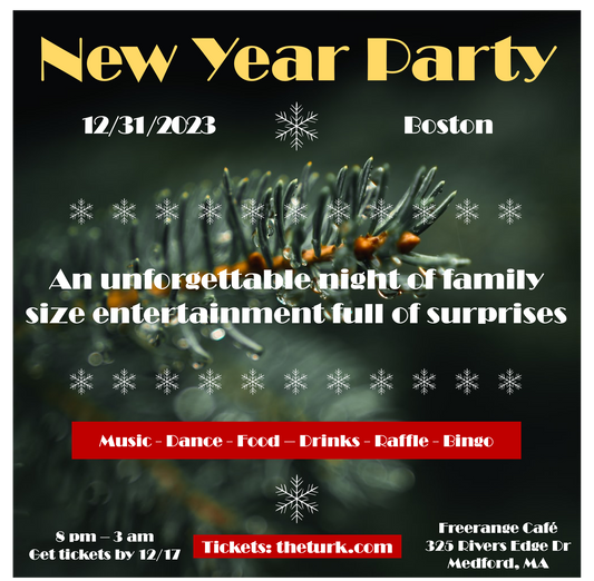 * New Year Party Admission * (ADULT or 15+)